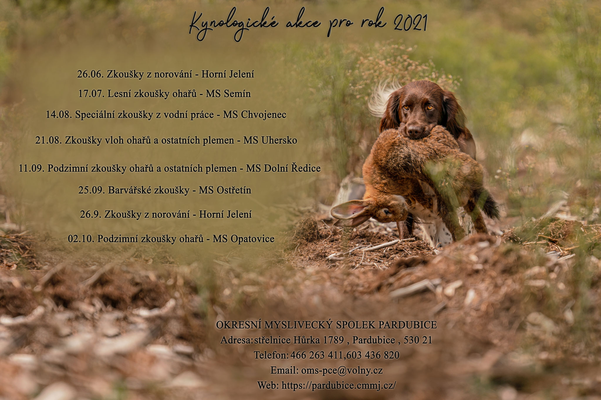 kynologické akce oms pardubice fotografka peta kynologické akce oms pardubice