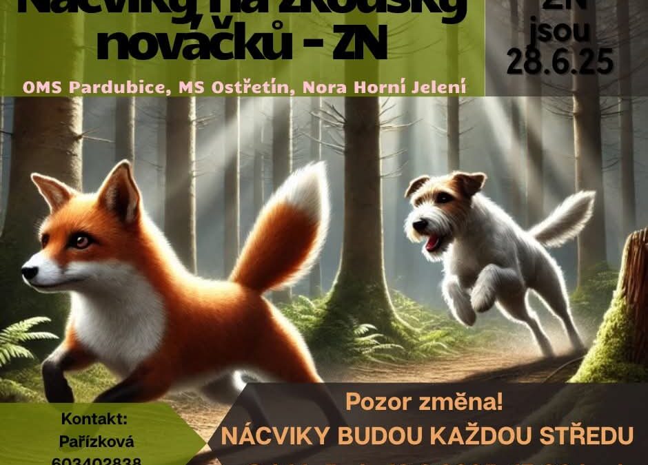 Nácviky na zkoušky z norování nováčků – každou středu od 17:00 – nora Horní Jelení