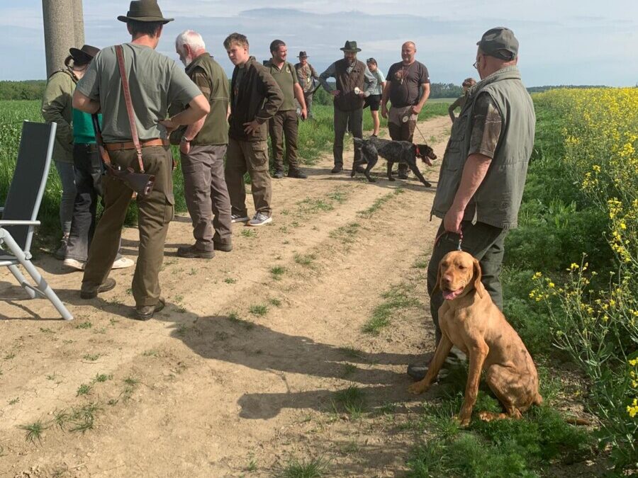 Výsledky zkoušek vloh ohařů a ostatních plemen – MS Býšť – 03.05.2025