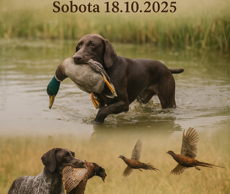 Čekají nás podzimní zkoušky ohařů- sobota 18.10.2025 – MS Staré Hradiště