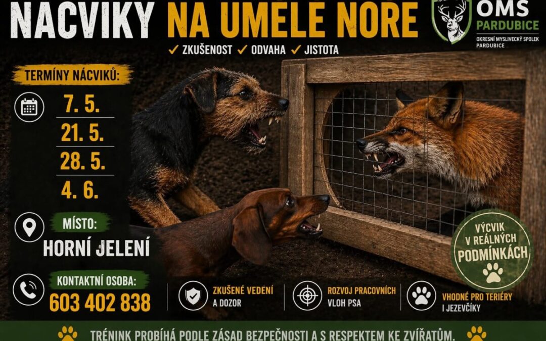 Nácviky na zkoušky z norování nováčků – každý čtvrtek od 17h – nora Horní Jelení