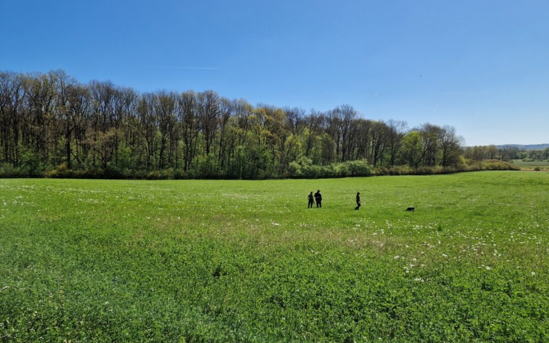 Výsledky zkoušek vloh ohařů a ostatních plemen – MS Háj Uhersko – 02.05.2026 – Trusnov