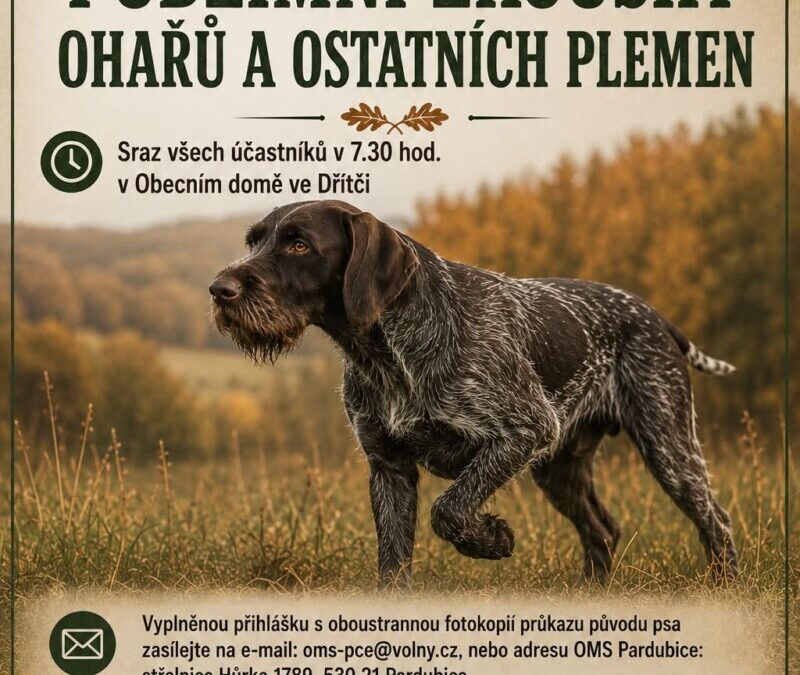 Čekají nás podzimní zkoušky ohařů a ostatních plemen