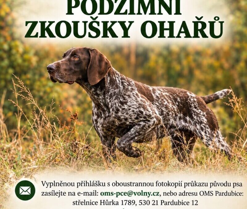 Čekají nás: Podzimní zkoušky ohařů – MS Opatovice nad Labem – Libišany – 17. října 2026