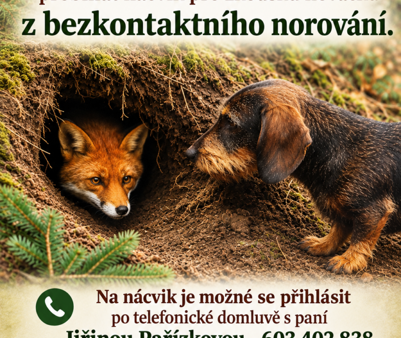 Nácviky na ZN od 17.09.2026 každý čtvrtek od 17:00h
