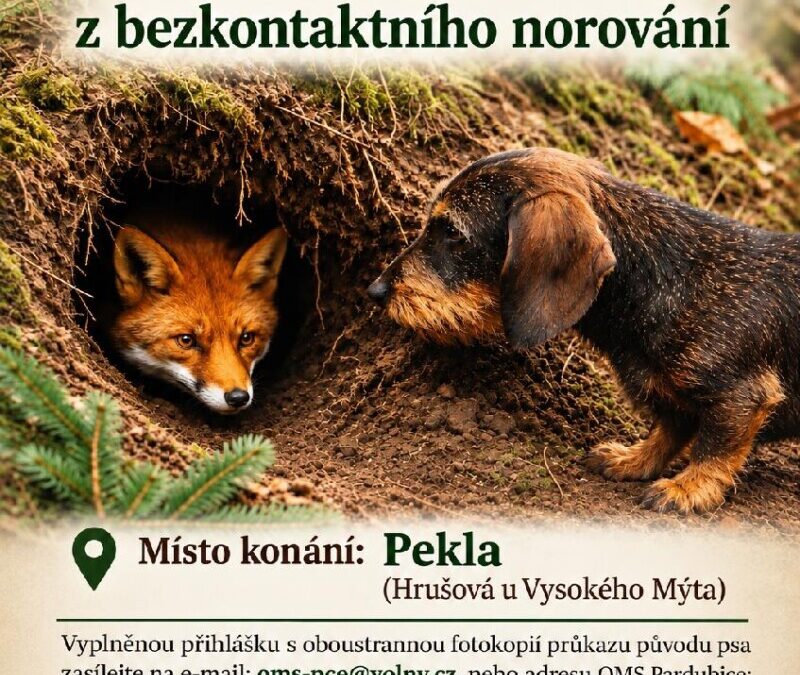 Čekájí nás Zkoušky z norování nováčků – bezkontaktní norování – neděle 25.10.2026